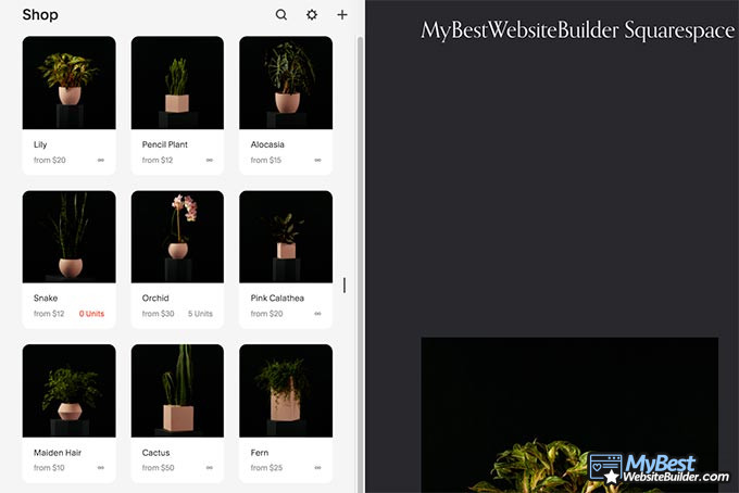 Curso Squarespace: eCommerce.